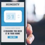 Humidity - 4 Reasons You Need to Have it in Your Home
